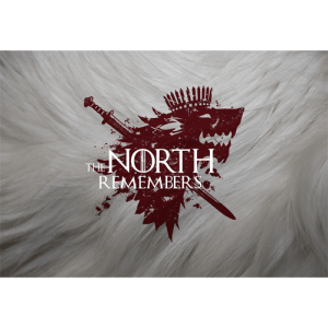 north-remembers-game-of-thrones-skin-decal-vinyl-artwork-500x500