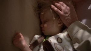 Breaking-Bad-Felina-Holly-Portable